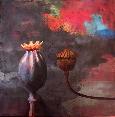 Poppy flower